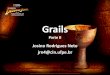 Grails   parte ii - plugins & rest