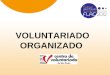 Captação de voluntários um recurso fundamental para as organizações (silvia naccache)