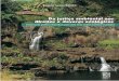 Da justiça ambiental aos direitos e deveres ecológicos - Rogério Santos Rammê / Ebook
