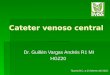 Cateter Venoso Central2