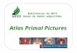 Tutorial atlas primal pictures