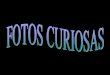 Slide de fotos_curiosas