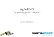 Agiles 2009 - Agile PMO