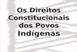 Os direitos constitucionais dos povos indígenas