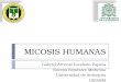 Micosis Humanas