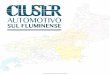 Presentación del Cluster Automotivo Sul Fluminense. Marco Saltini. Director de Relaciones Institucionales MAN Latinoamérica