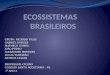 Ecossistemas brasileiros csanl