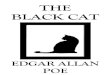 The black Cat