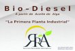Biodiesel 2010 web