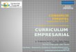Curriculum Empresarial - Consorcio Pimentel holding inc