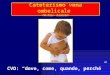 Cateterismo vena ombelicale