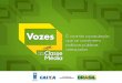 Apresentação de Ricardo Paes de Barros no Lançamento do 3º caderno Vozes da Nova Classe Média