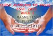 2013-02-01-O Magnetismo, Os Flúidos, O Perispírito- Aula 1. do Curso de Passe KSSF- Aula 1 -Rosana De Rosa