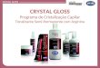 Crystal gloss treinamento comercial jan10