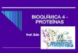 BioquÍMica 4   ProteÍNas