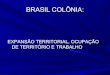 BRASIL COLÔNIA: EXPANSÃO TERRITORIAL, OCUPAÇÃO DE TERRITÓRIO E TRABALHO