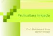 Fruticultura irrigada