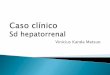Sd hepato renal - caso clinico