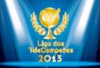 Manual liga-telecampeoes-2013