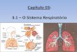 Capítulo 03   sistema respiratório