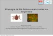Ecologia de las fiebres manchadas en argentina