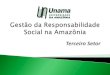 GestãO Da Responsabilidade Social Na AmazôNia