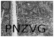 Presentacio complerta de pnzvg amb gravacions