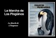 A MARCHA DOS PINGUINS