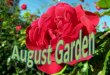 August garden