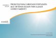 Produtos fotovoltaicos para o mercado português