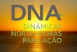 DNA - Dinâmicas Norteadoras para Ação