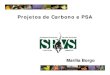 PES COURSE - PORTO SEGURO (Carbon projects and PES - MARILIA BORGO)