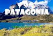 A patagónia