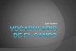 vocab spanish gramer 2