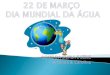 Dia Mundial da Água 7º B