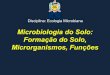 microrganismos do solo   formacao do solo, microrganismos e funcoes