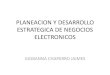 PLANEACION Y DESARROLLO ESTRATEGICO DE LOS NEGOCIOS ELECTRONICOS