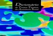 Dicionario de termos_tecnicos_da_assistencia_social_2007