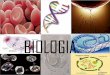 Biologia, núcleo e divisão celular