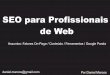 Seo para profissionais Web
