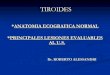 Tiroides en ecografia. Dr. Alessandri Roberto