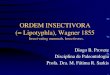 Ordem Insectivora (Mammalia)