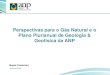 Perspectivas para o Gás Natural e o Plano Plurianual de Geologia & Geofísica da ANP