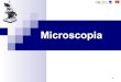 5   microsc³pio