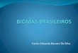 Biomas brasileiros da Amazonia