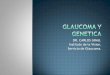 Glaucoma y genetica