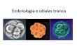 Celulas tronco embriologia