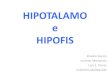 Trastornos hipotalamo hipofisiarios copy