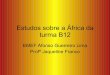 B12 africa