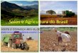Solos e a agricultura no brasil